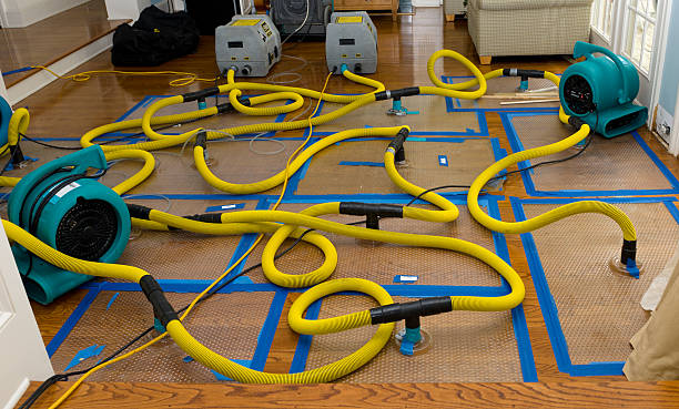 Professional Structural Drying And Dehumidification technician working in Kings Park, NY